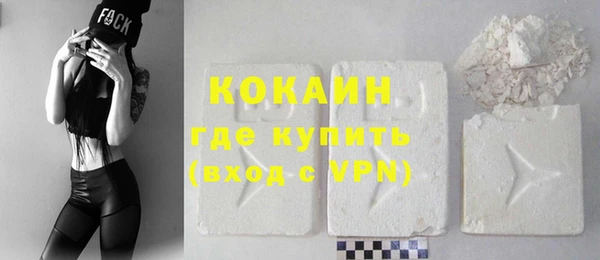 гидра Магас