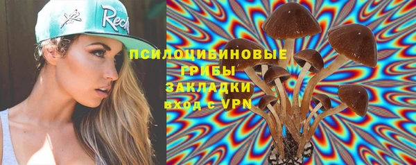 гидра Магас