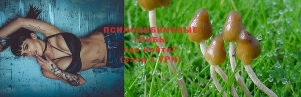 2c-b Майский