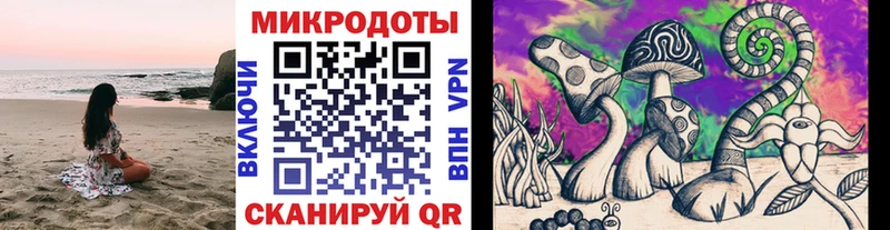 Галлюциногенные грибы Psilocybe  Пушкино 