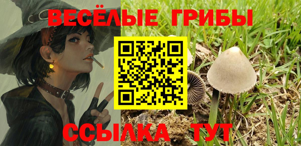 Пушкино  Галлюциногенные грибы мухоморы  Вход с VPN 