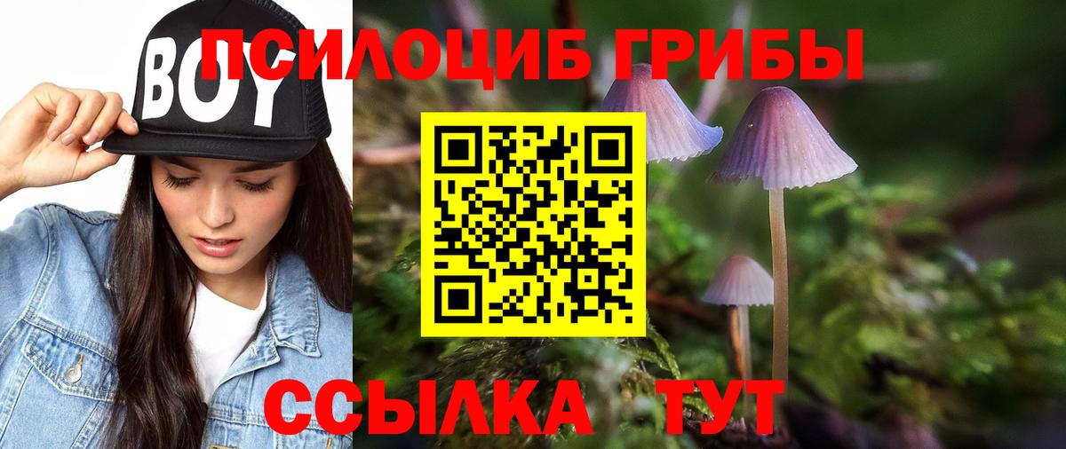 Псилоцибиновые грибы MAGIC MUSHROOMS Пушкино
