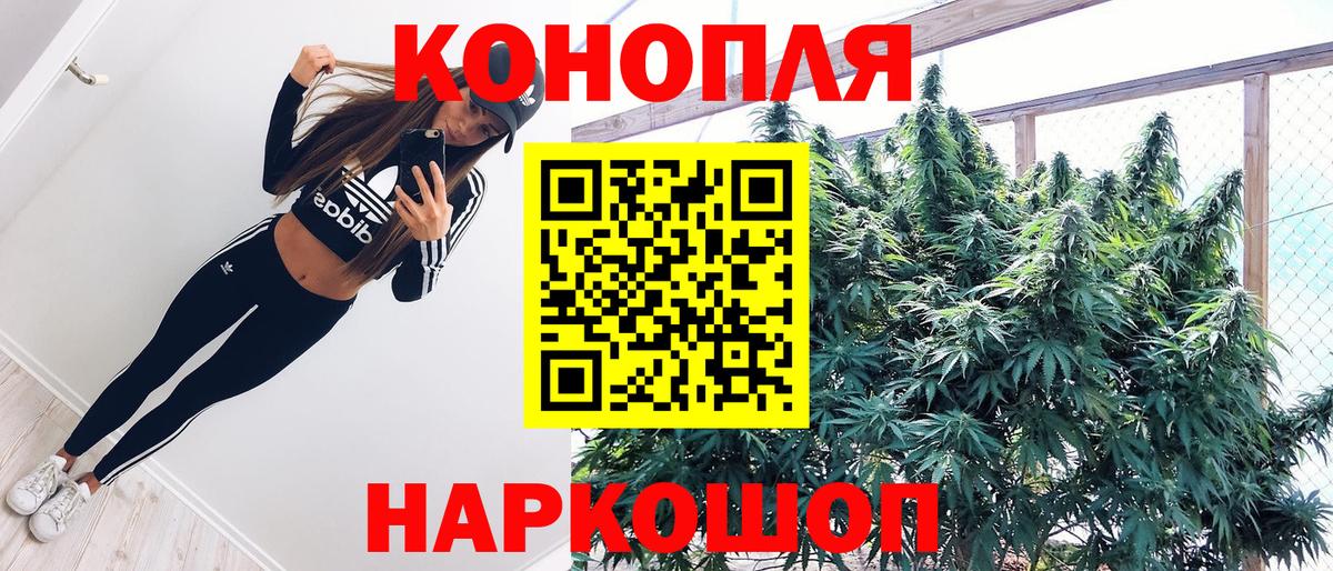 Каннабис планчик  Вход с VPN  Каннабис конопля  Пушкино 